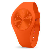 Orologio Ice Watch ice color in Acciaio IC.017910